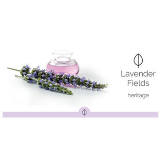 HYscent Invent - Lavender Fields - HI60041